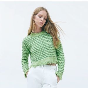Zara Frayed Knit Crop Sweater